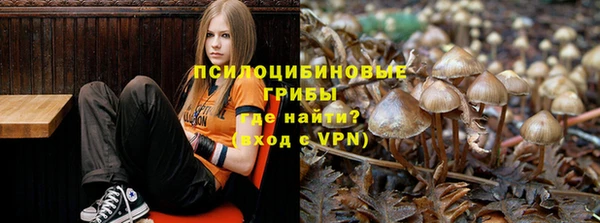 а пвп мука Верхний Тагил